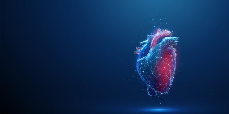 Cardio-oncología: proteger el corazón mientras se combate el cáncer