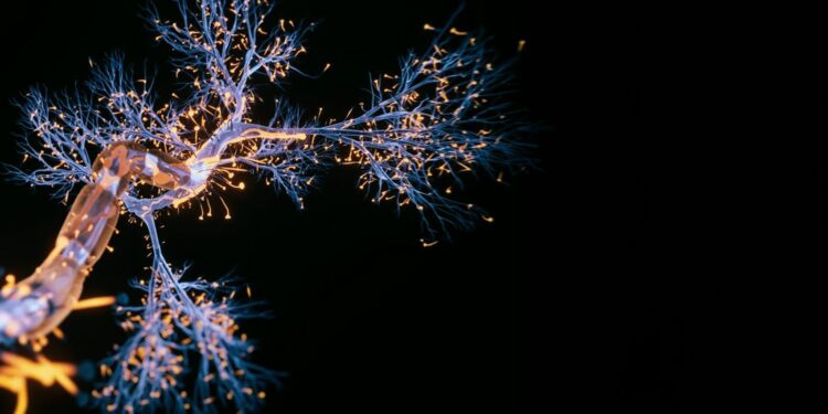 Avances en la investigación del glioblastoma