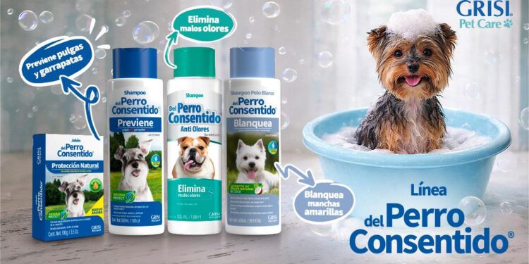 La guía Del Perro Consentido para bañar a tu lomito en 10 pasos