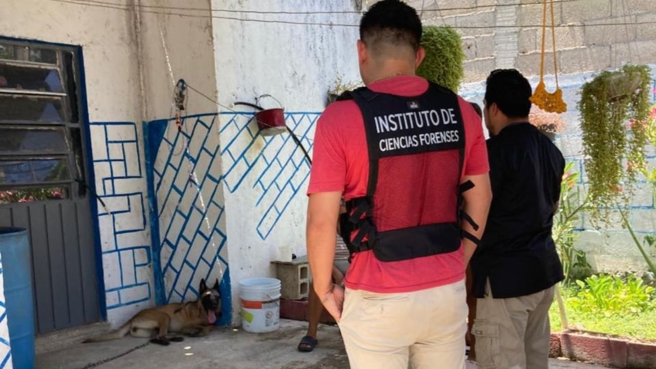 Arrojan agua hirviendo a perrita Lia, en Motul, Yucatán