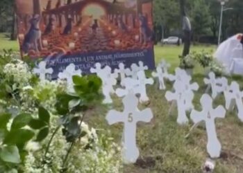 Colocan ofrenda para perritos asesinados en el Bosque de Nativitas, Xochimilco