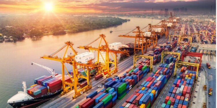 Diana Foullon Gómez, comercio exterior y aduanas