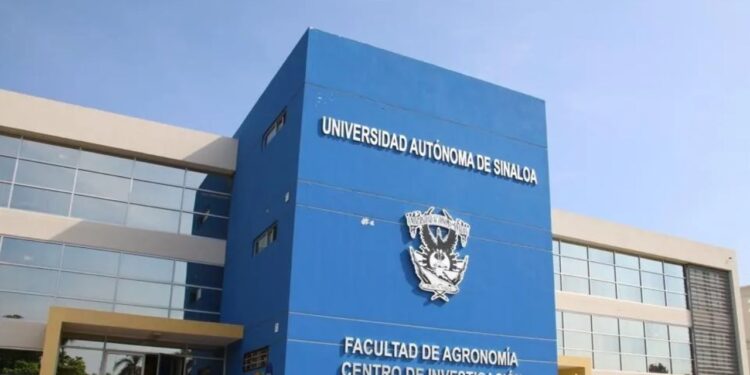 Hallan 5 cuerpos abandonados frente a la Facultad de Agronomía de la UAS en Sinaloa