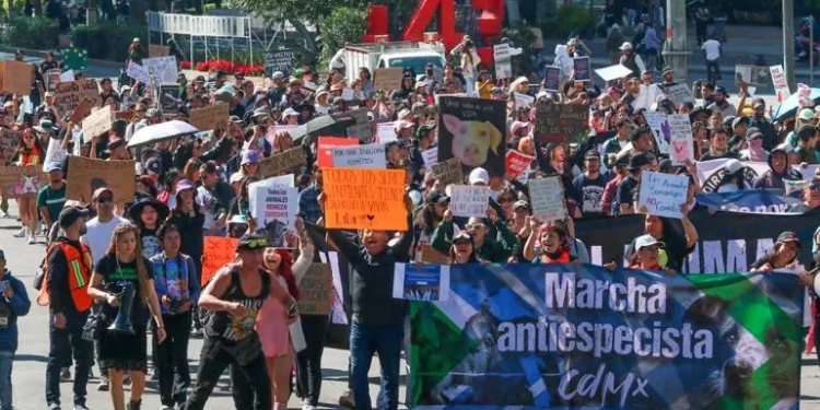 ‘Veganismo o extinción’, marchan contra consumo de carne y maltrato animal