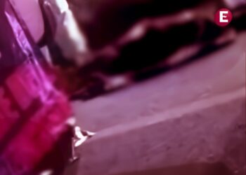 Abandonan cuerpos en carretera de Guanajuato; les dejan un mensaje