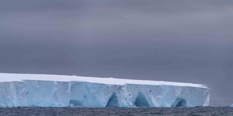 Colosal iceberg de un billón de toneladas se desprende y viaja a la deriva en el Océano Austral