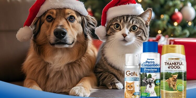 5 ideas de regalos navideños para tu michi o lomito