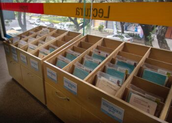 KUMON CONNECT OFRECE INGLÉS ANTE NECESIDAD EDUCATIVA