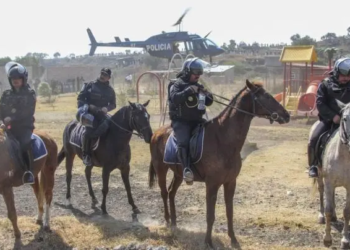 Operativo recupera 11 hectáreas en Tláhuac, ocupantes habrían sido estafados