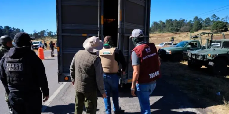 Colocan filtro contra la tala ilegal en San Miguel Topilejo, Tlalpan