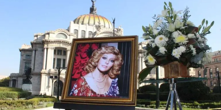 Decenas esperan afuera de Bellas Artes para el último adiós a Silvia Pinal