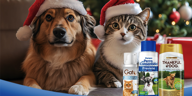 5 ideas de regalos navideños para tu mascota