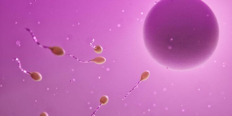 47 años de Fecundación In Vitro, actualmente 4 mil nacimientos al año en México. El arte de disfrutar con estilo y sentido.