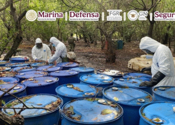 Aseguran 12.8 toneladas de metanfetamina en Nayarit; desmantelan narcolaboratorio