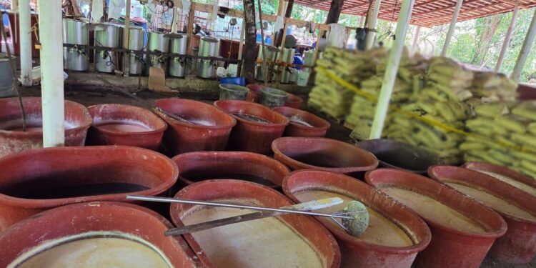 Harfuch confirma megadecomiso de 6 toneladas de drogas en Chiapas y Guerrero