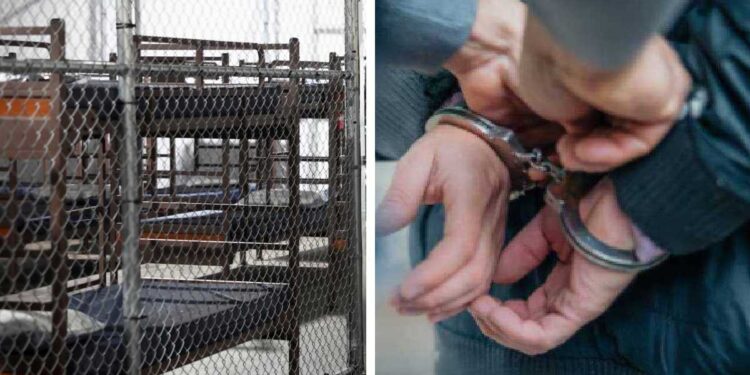 EE.UU. estudia abrir otros “Alligator Alcatraz” en Arizona, Nebraska y Luisiana