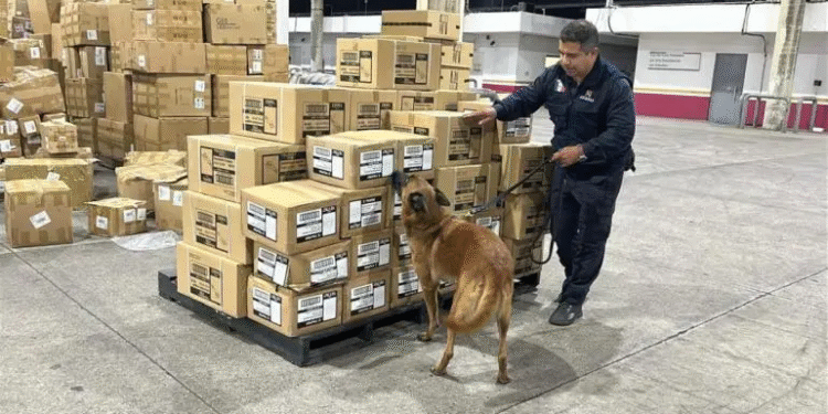 Refuerza México lucha contra el contrabando y la piratería