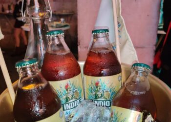 Indio Agave: la cerveza que sabe a México