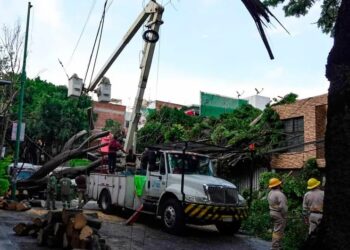 CFE restablece electricidad al 91% tras lluvias; más de 18 mil usuarios resultaron afectados