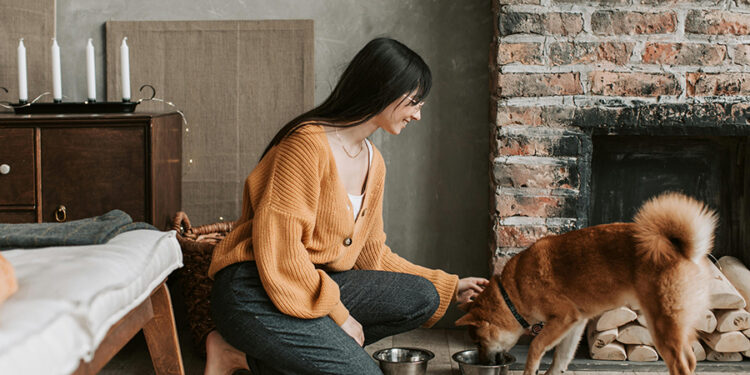 ¿Cómo fortalecer el vínculo con tu mascota? Más allá del cariño, un acto consciente