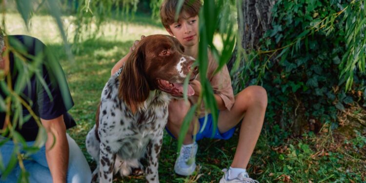 México mantiene la rabia canina bajo control, pero la amenaza persiste: vacunar es clave