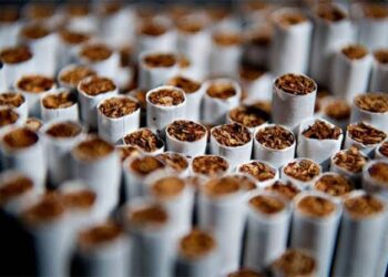 Guadalajara, Monterrey y Mérida, las ciudades con mayor cigarro ilícito en México: IPN