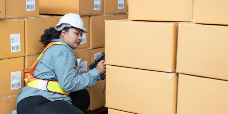 La nube y la IA se convierten en aliados estratégicos de las pymes mexicanas