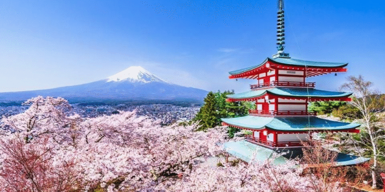 Trump recibirá 250 cerezos de Japón por los más de dos siglos de la Independencia de EU