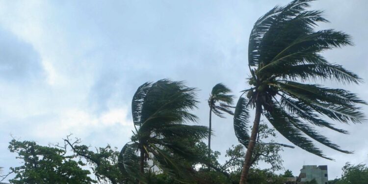 Prevén que Raymond toque tierra en Baja California Sur en las próximas horas