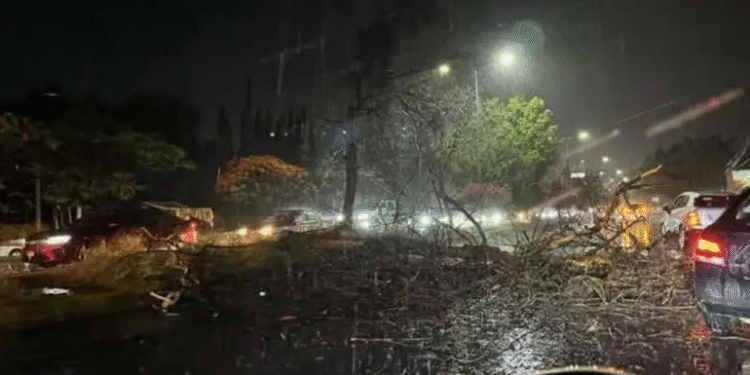 Veracruz emite ALERTA Gris ante amenaza de ‘Norte violento’