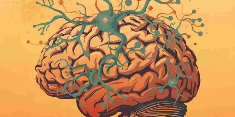 Trastornos de ansiedad se vinculan a bajos niveles de nutrientes en el cerebro, estudio