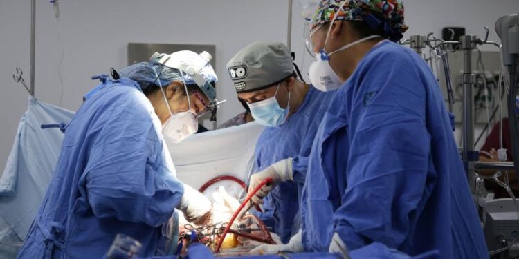 Mayoría de trasplantes de órganos se realizan en hospitales públicos: Ssa
