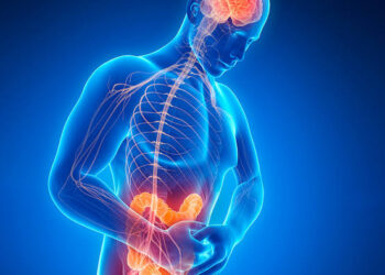 El Parkinson podría iniciar en el intestino, no en el cerebro