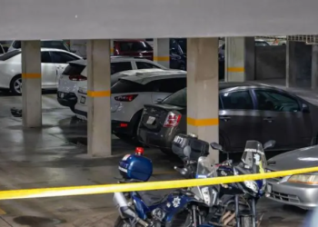 Reporta Sheinbaum caída histórica de 40% en homicidios dolosos al cierre de 2025