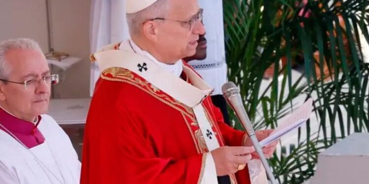 “Depongan las armas, son hermanos”: Papa León XIV lanza llamado urgente por la paz en Domingo de Ramos