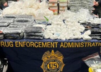 EU reconoce colaboración con México en desmantelamiento de cártele