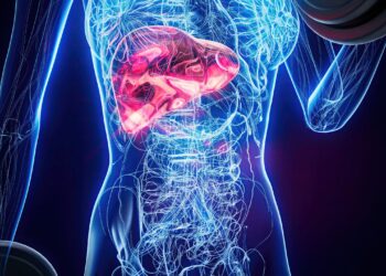 El hígado graso avanza sin síntomas en millones de personas, pero nuevas herramientas permiten detectarlo antes de que sea irreversible