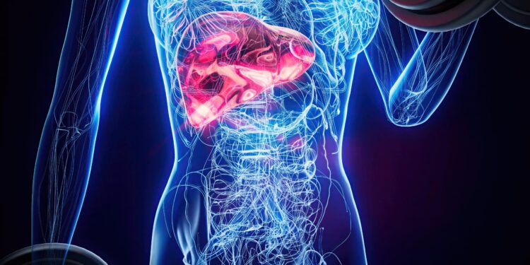 El hígado graso avanza sin síntomas en millones de personas, pero nuevas herramientas permiten detectarlo antes de que sea irreversible