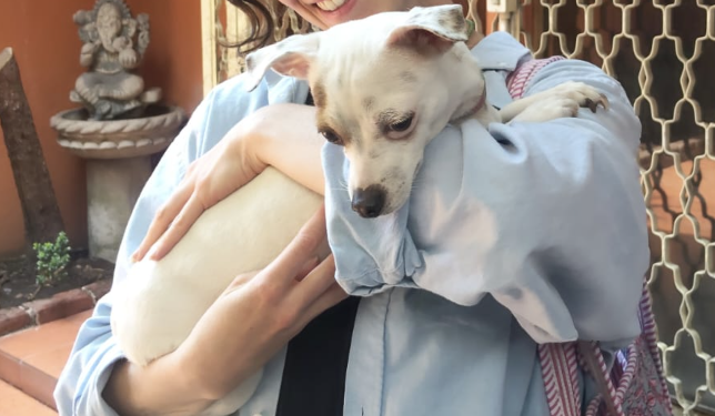 Fundación Manchitas, de Norberto Maldonado, impulsa ayuda para animales rescatados