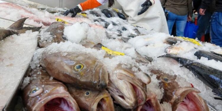 Pescados por menos de 150 pesos para Semana Santa en La Nueva Viga