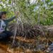 El gobierno de Yucatán y WWF protegerán 580 mil hectáreas