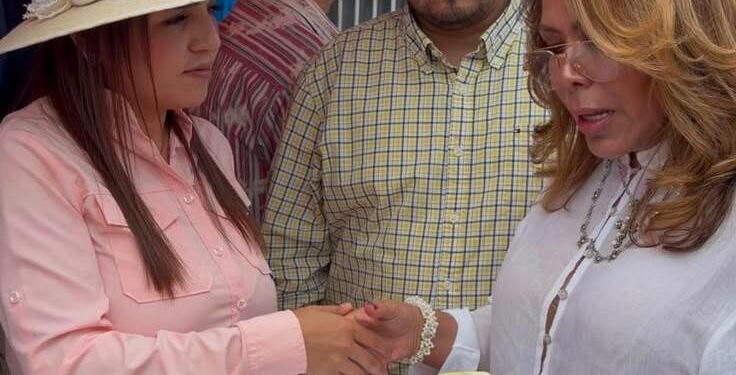 «Retroceso democrático lo sucedido en Michoacán con candidaturas independientes»: Norma Romero Cortés.