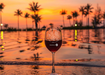Sabores de Florida: Un recorrido culinario por el Estado del Sol  
