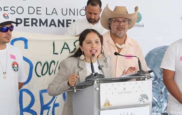 Respalda Beatriz Andrea Navarro lucha del colectivo “Batalla por la Playa”, en Bahía de Banderas, Nayarit