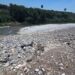 Nuevo León: lluvias reabren debate sobre limpieza en el Río Santa Catarina