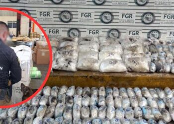 Aseguran más de 145 kilos de metanfetamina en paquetería de Hermosillo
