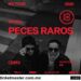 Peces Raros regresa a México para hacer vibrar a sus fans con su poderosa fusión de rock y electrónica
