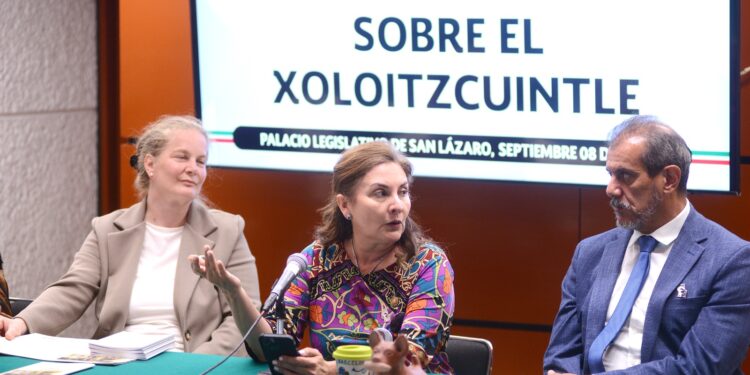 Impulsa Ana Erika Santana en la Cámara de Diputados agenda científica, cultural y educativa para la protección del xoloitzcuintle