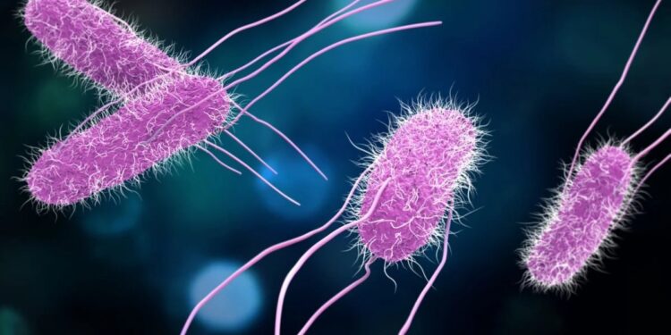 Cuando una infección gastrointestinal no espera: el valor de un diagnóstico oportuno. El arte de disfrutar con estilo y sentido.