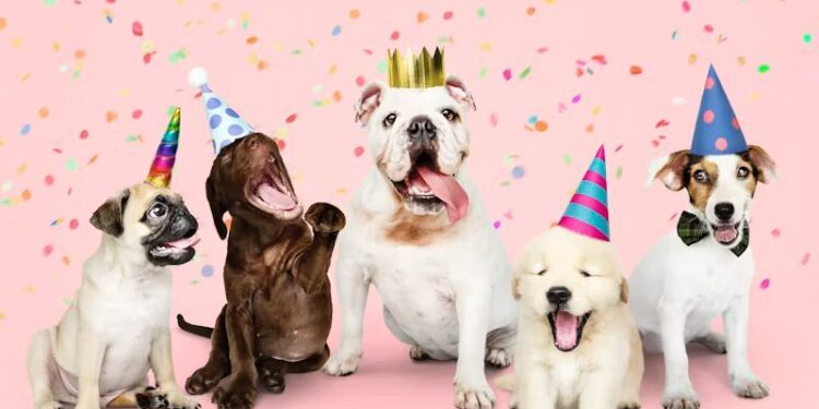 Petco celebra 13 años en México y consolida su evolución hacia el bienestar y la experiencia